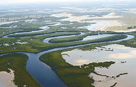 Le Delta du Saloum désormais patrimoine mondial de l’UNESCO Le Delta du Saloum désormais patrimoine mondial de l’UNESCO