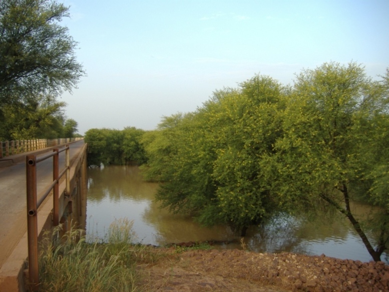 Matam : le pont est devenu un danger public Matam : le pont est devenu un danger public