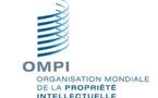 La Propriété Intellectuelle s’invite au FESMAN
