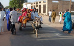 116 Magal: Tous les moyens sont bons pour rallier Touba