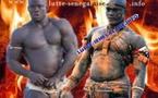 Lutte-Modou Lô-Eumeu Sène : Luc Nicolaï traite Gaston Mbengue de torpilleur des combats de Modou Lô