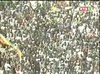 VIDEOS Direct Sénégal vs Cameroun: C’est parti pour 90 mn!