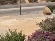 trim.4D17AF5E-06DD-486A-BEBA-1B03331C9465.MOV