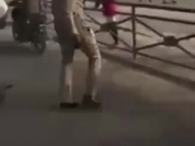 trim.5BDEE659-8A01-4639-B8BF-2CB8DE850013.MOV