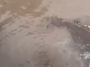 trim.D0FECB71-2E6E-45D6-9108-E1400D1A67EC.MOV