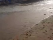 VID-20250904-WA0061.mp4