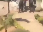 InShot_20260209_171951891.mp4