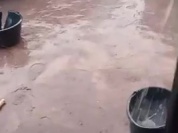 WhatsApp Video 2026-05-01 at 22.39.36.mp4
