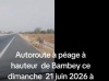 Bambey : la présence récurrente d'animaux en divagation sur l'autoroute Ila Touba signalée ce dimanche