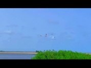 WhatsApp Video 2026-09-01 at 23.11.46.mp4