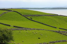 Le back office, votre plus fidèle allié Le back office, votre plus fidèle allié