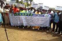 Reportage veille-tabaski : Grève annoncée du RENAPTA, pas d'impact réel sur le réseau Wari