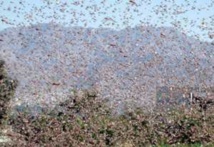 «Phénomènes dangereux » sur la Grande côte : L’Anacim tire la sonnette d’alarme «Phénomènes dangereux » sur la Grande côte : L’Anacim tire la sonnette d’alarme