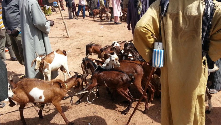 Mali: 40 personnes contaminées par l'épidémie de fièvre hémorragique Mali: 40 personnes contaminées par l'épidémie de fièvre hémorragique