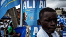 La victoire d'Ali Bongo au Gabon saluée au Cameroun