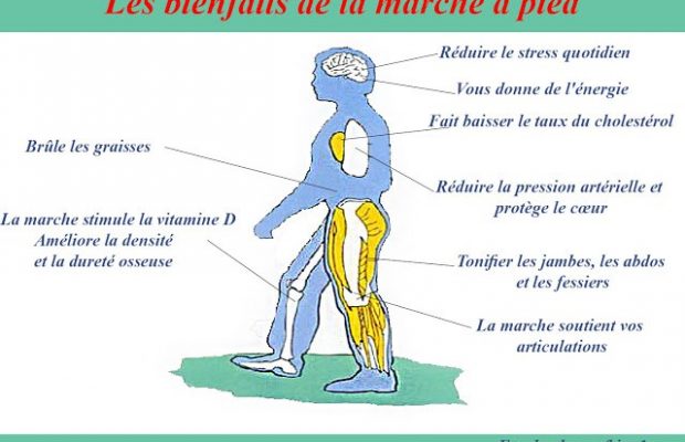 Santé : Découvrez Les bienfaits de la marche à pied les résultats sont surprenants !