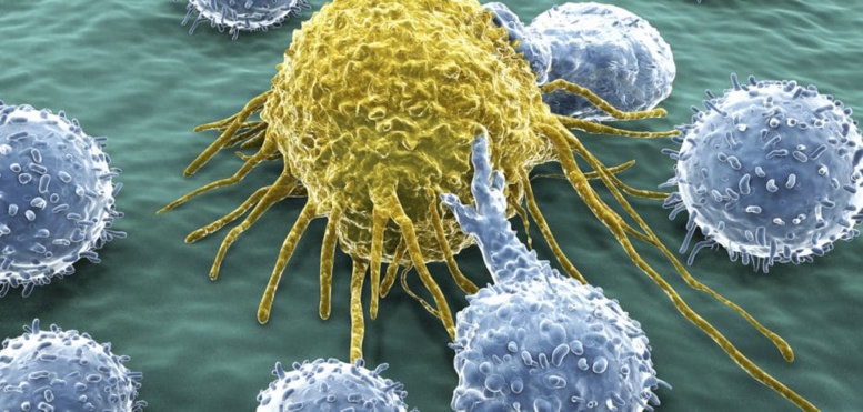 Des chercheurs ont identifié un anticorps qui neutralise 98% des souches du VIH