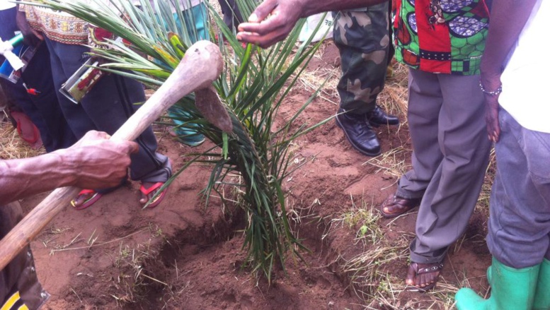 RDC: regain de tension entre Lubas et Pygmées dans le Tanganyika RDC: regain de tension entre Lubas et Pygmées dans le Tanganyika