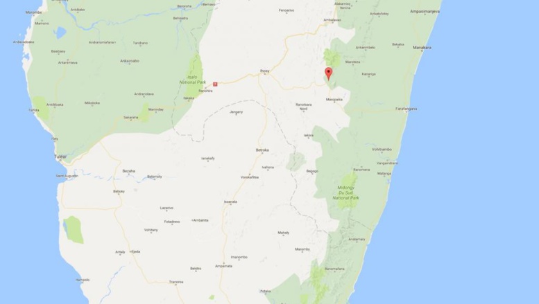 Madagascar: affrontements violents entre voleurs de zébus et gendarmes Madagascar: affrontements violents entre voleurs de zébus et gendarmes