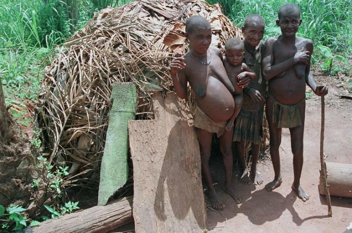 ​RDC : 15 morts dans des affrontements entre Pygmées et Bantous