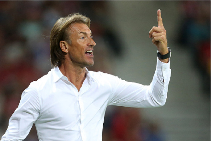 CAN 2017 : Hervé Renard « Quand je vois les Lions du Sénégal jouer, j’ai des maux de tête »