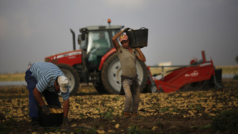 Maroc : si l'UE ne respecte pas l'accord agricole, Rabat menace d'une «reprise des flux migratoires» Maroc : si l'UE ne respecte pas l'accord agricole, Rabat menace d'une «reprise des flux migratoires»