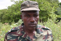 Ibrahima Gassama sur la paix en Casamance: «Le MFDC s’est affaibli avec le changement de régime en Gambie»