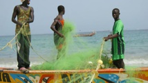 Mauritanie: faute d'accord, les pêcheurs sénégalais sont au chômage technique Mauritanie: faute d'accord, les pêcheurs sénégalais sont au chômage technique