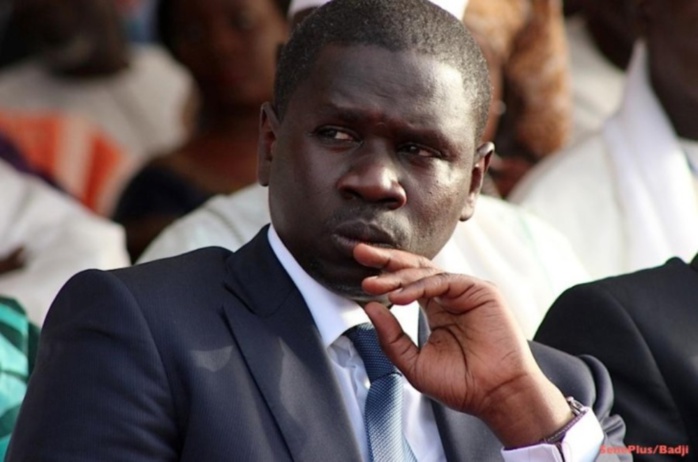 Me Oumar Youm panique: «Si Macky Sall perdait les législatives, ...»