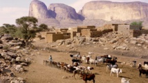 Mali: le désespoir de la population après l’explosion d’un bus sur une mine Mali: le désespoir de la population après l’explosion d’un bus sur une mine