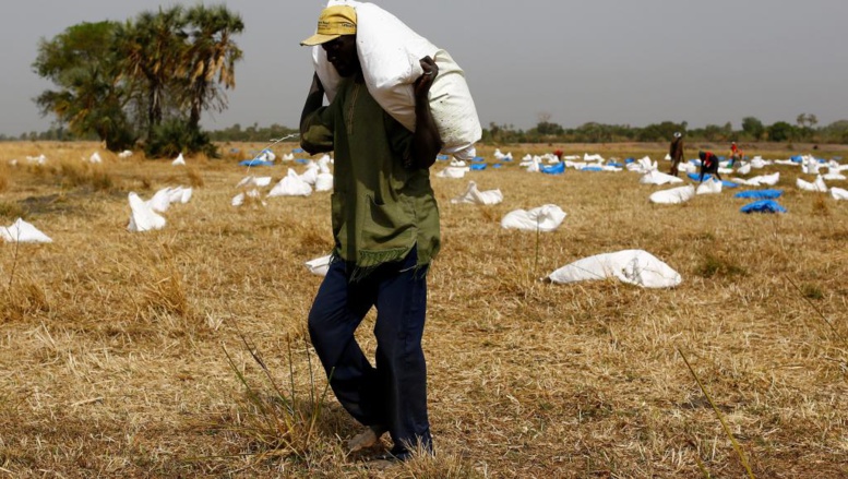 Famine au Yémen, Soudan du Sud, Nigeria et Somalie: l'appel à l'aide de l'ONU Famine au Yémen, Soudan du Sud, Nigeria et Somalie: l'appel à l'aide de l'ONU