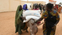 Mali: la sécheresse à Gourma Rharous, dans le nord, inquiète les habitants