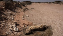 Somalie : la faim tue 110 personnes