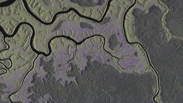 Congo-Brazzaville: entente pour un Fonds de protection du Bassin du Congo Congo-Brazzaville: entente pour un Fonds de protection du Bassin du Congo