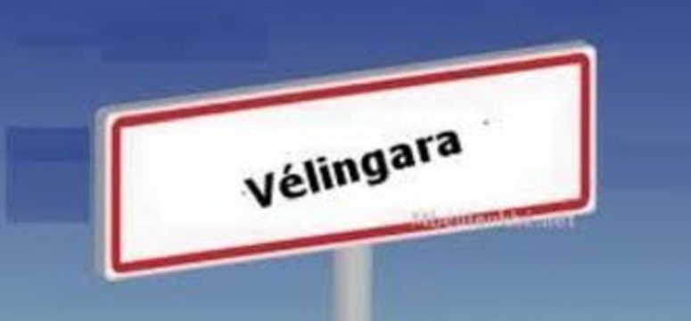 Vélingara: l’Imam Douga Sylla et 17 de ses fidèles envoyés en prison Vélingara: l’Imam Douga Sylla et 17 de ses fidèles envoyés en prison