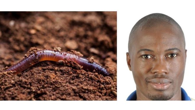 Roméo Dou : l'Ivoirien qui vit de vers de terre