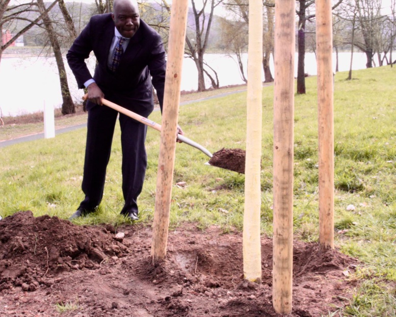 Allemagne : l’Arbre de l’intégrité burkinabè désormais au bord du Rhin Allemagne : l’Arbre de l’intégrité burkinabè désormais au bord du Rhin