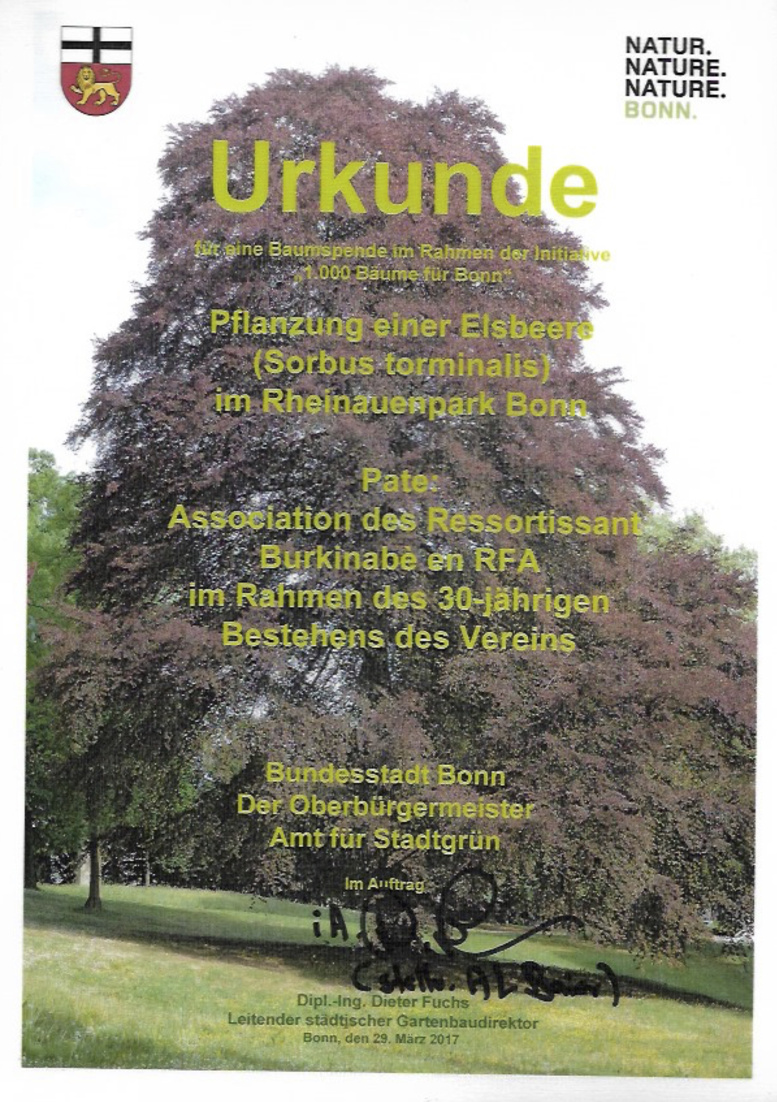 Allemagne : l’Arbre de l’intégrité burkinabè désormais au bord du Rhin Allemagne : l’Arbre de l’intégrité burkinabè désormais au bord du Rhin