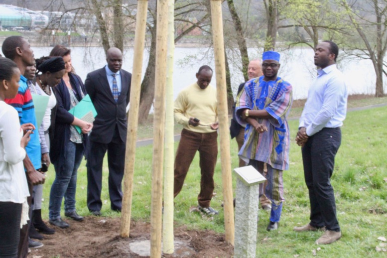 Allemagne : l’Arbre de l’intégrité burkinabè désormais au bord du Rhin Allemagne : l’Arbre de l’intégrité burkinabè désormais au bord du Rhin