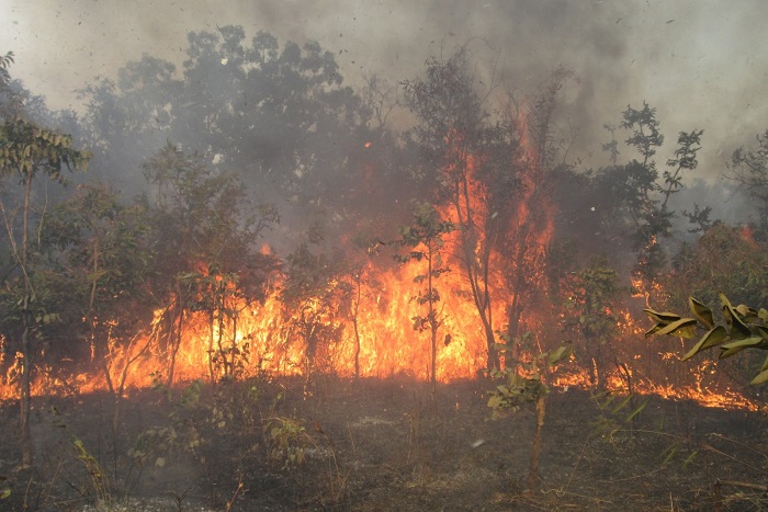 Ranch de Dolly : le feu continue à se propager