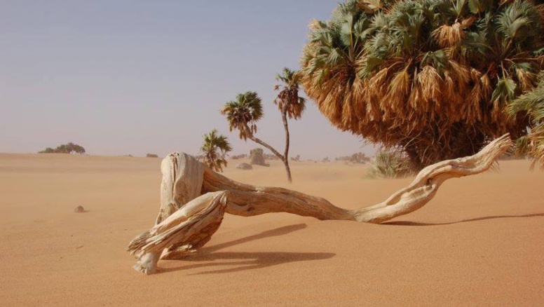Dakar accueille la 4ème édition des Scènes Expérimentales du 15 au 20 mai 2017