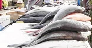 Diourbel: les mareyeurs et vendeurs de poissons en colère après l’arrestation d’un des leurs