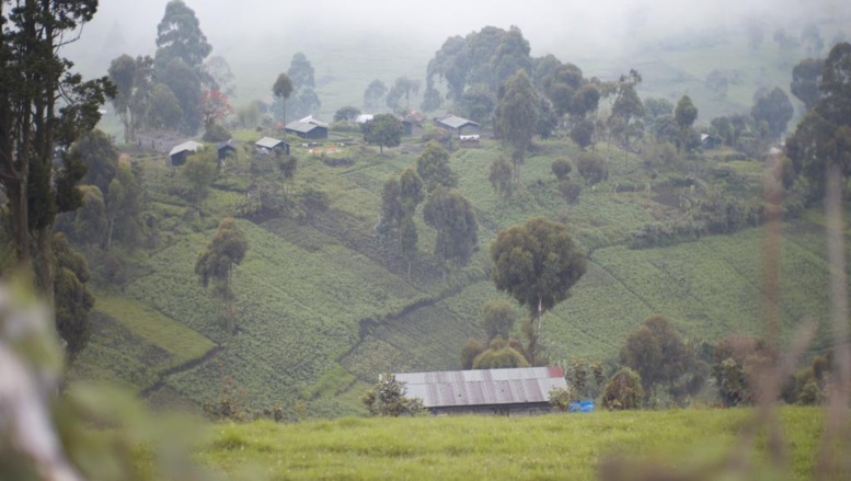 RDC: nouveaux affrontements meurtriers entre milices rivales dans le Nord Kivu