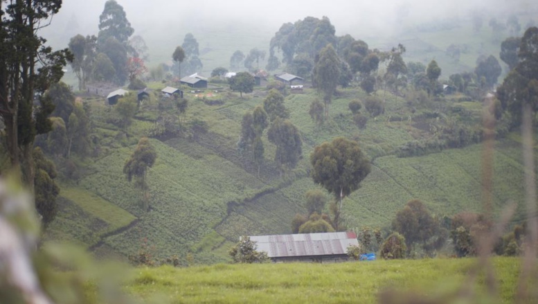 RDC: nouveaux affrontements meurtriers entre milices rivales dans le Nord Kivu RDC: nouveaux affrontements meurtriers entre milices rivales dans le Nord Kivu