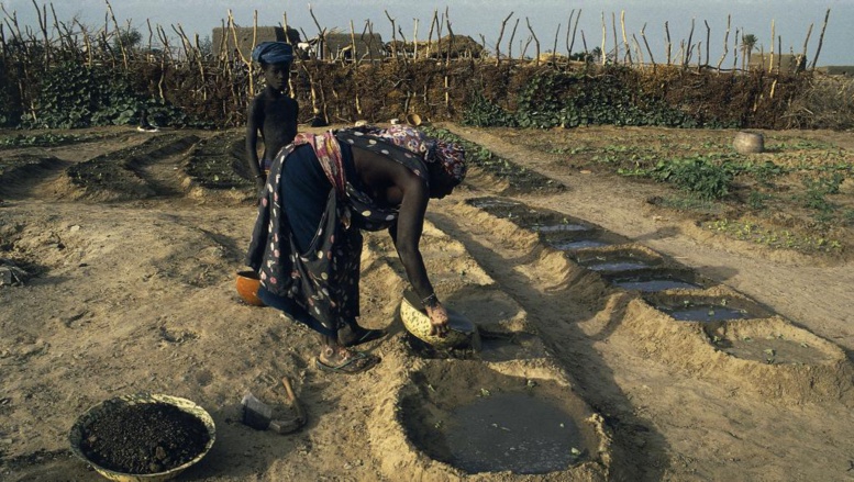 Marche des Haratines contre l'esclavage en Mauritanie: il reste du chemin Marche des Haratines contre l'esclavage en Mauritanie: il reste du chemin
