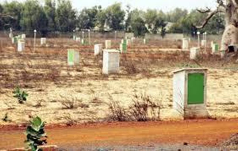 Affectation de terres à Bambilor : «Jubanti Senegal» saisit l’OFNAC Affectation de terres à Bambilor : «Jubanti Senegal» saisit l’OFNAC