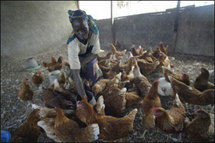 Une ferme nigérian (Photo: notre-planete.info)