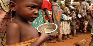 Malnutrition en Afrique de l'Ouest: 159 enfants en retard de croissance - «Le Sénégalais mange mal», (Docteur)