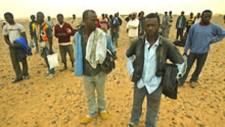 Algérie: la plupart des migrants syriens bloqués à la frontière sont au Maroc