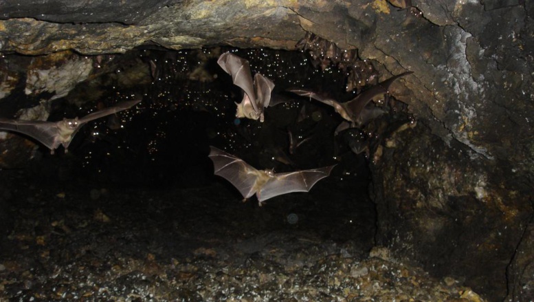 Ouganda: l’ONG Global Witness dénonce la corruption dans le milieu minier